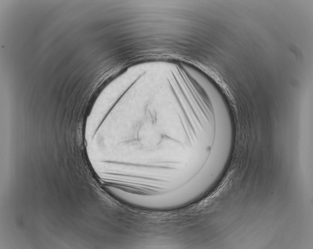 X0000111390889200908211359