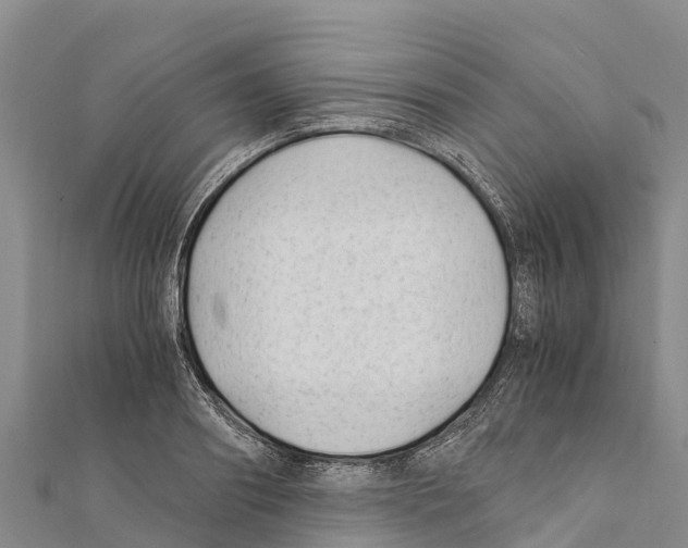 X0000111390890200908211359