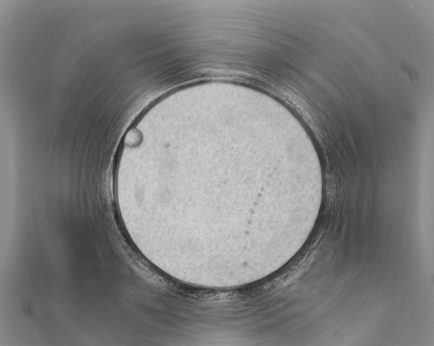 X0000111390891200908211359