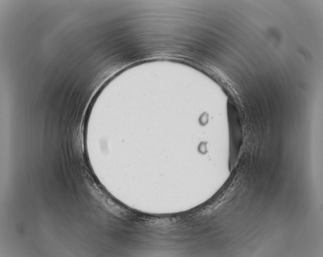 X0000111390892200908211359