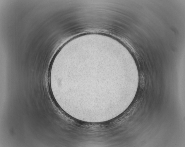 X0000111390895200908211359