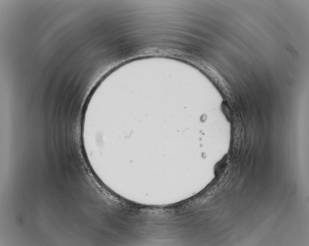 X0000111390896200908211359