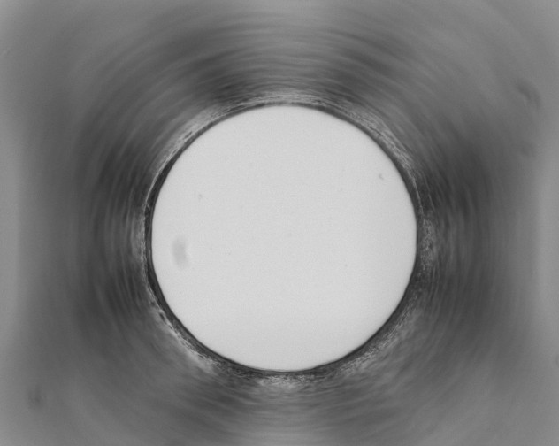 X0000111390898200908211359
