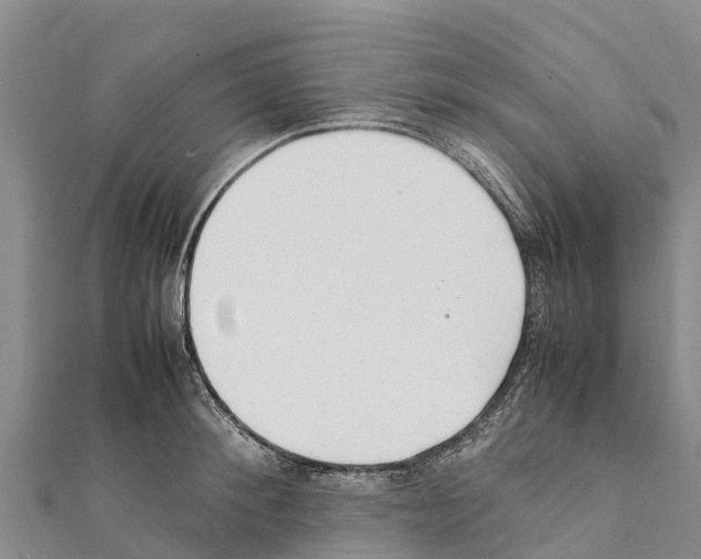 X0000111390900200908211359
