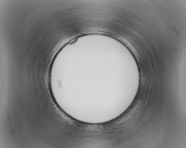 X0000111390901200908211359