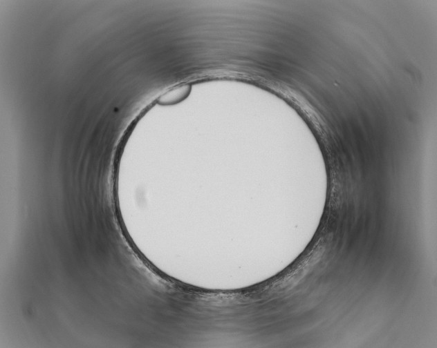 X0000111390902200908211359