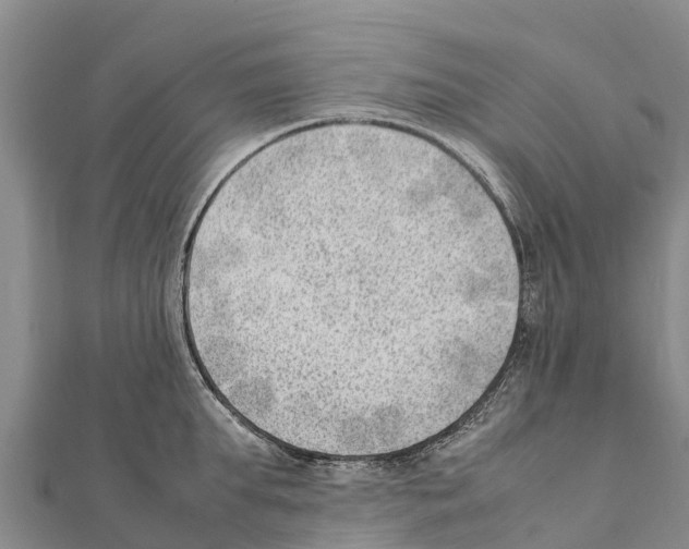 X0000111390903200908211359