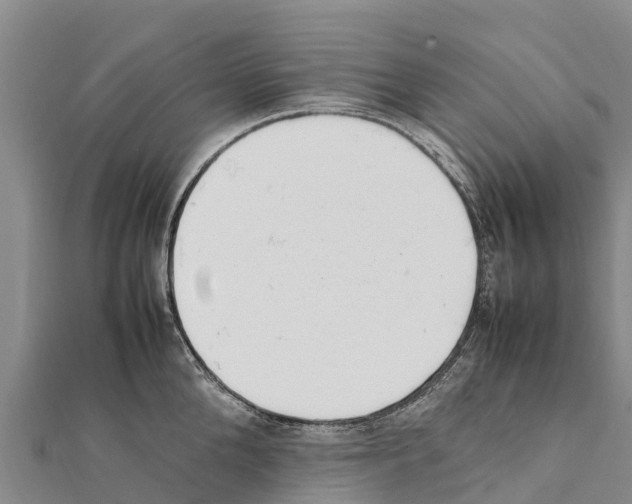 X0000111390904200908211359