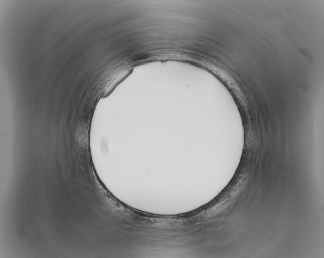 X0000111390905200908211359