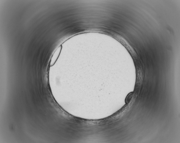 X0000111390908200908211359