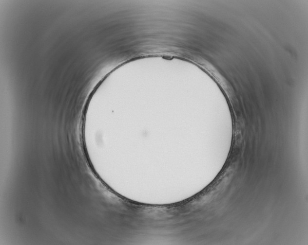 X0000111390909200908211359