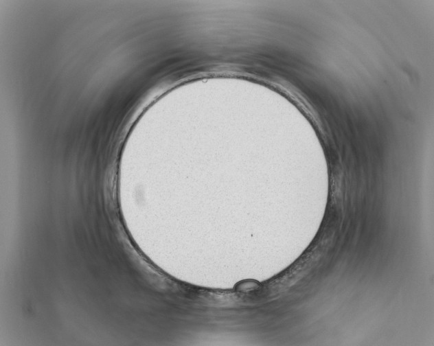 X0000111390911200908211359
