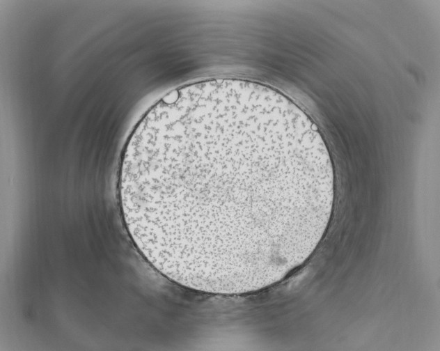 X0000111390912200908211359
