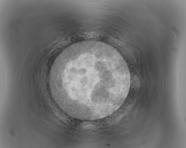 X0000111390913200908211358