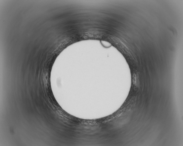 X0000111390915200908211358