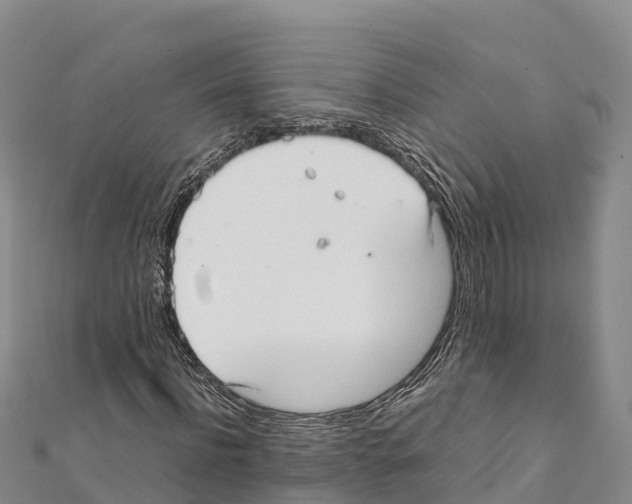 X0000111390916200908211358