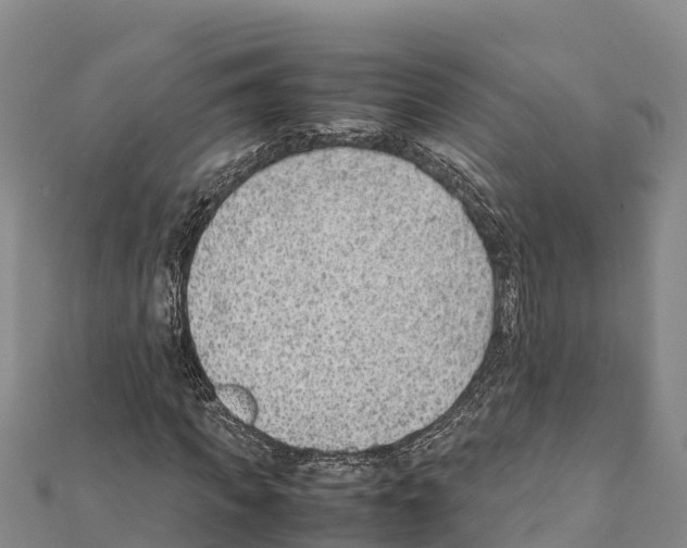 X0000111390917200908211358