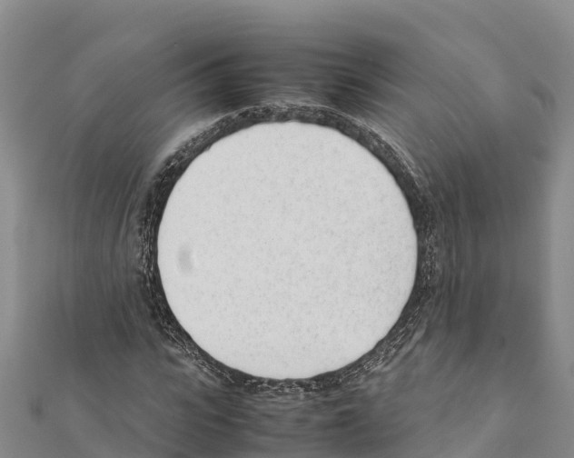 X0000111390919200908211358