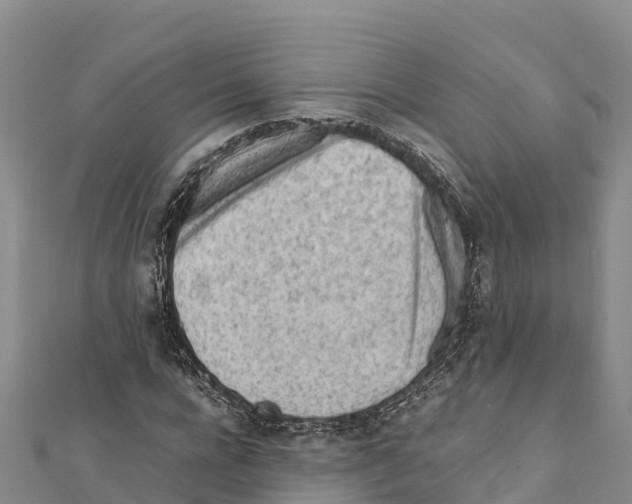X0000111390920200908211358