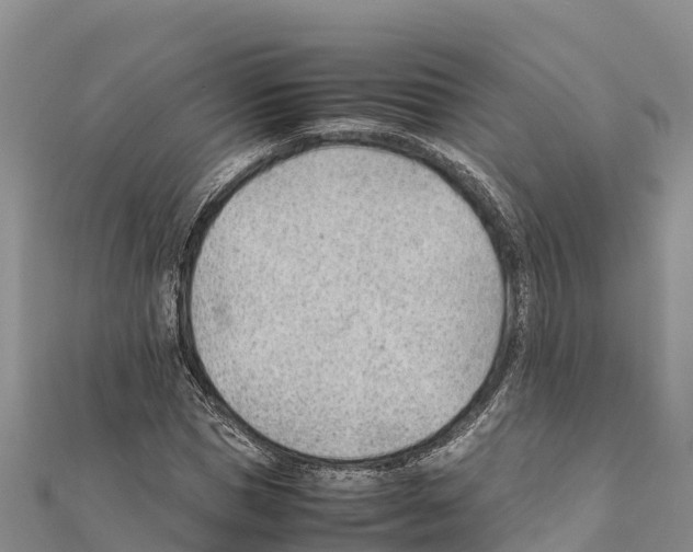 X0000111390921200908211358