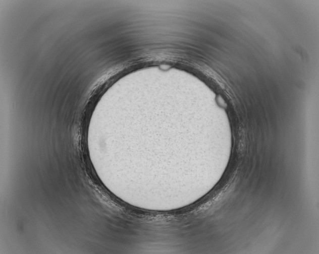 X0000111390922200908211358