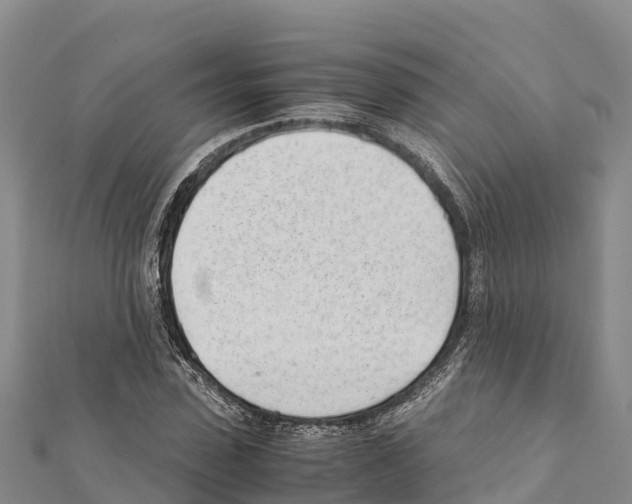 X0000111390923200908211358