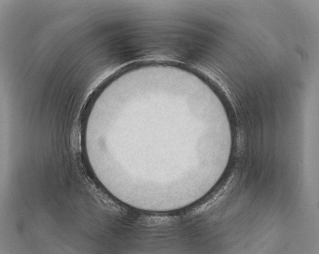 X0000111390925200908211358