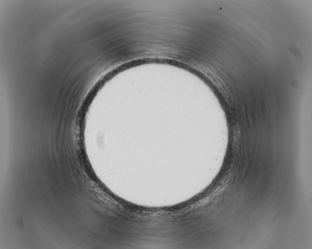X0000111390926200908211358