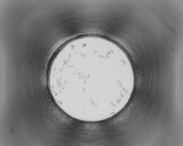X0000111390927200908211358