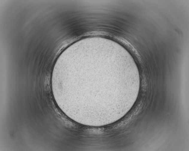 X0000111390937200908211358