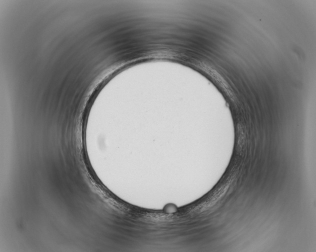 X0000111390939200908211358