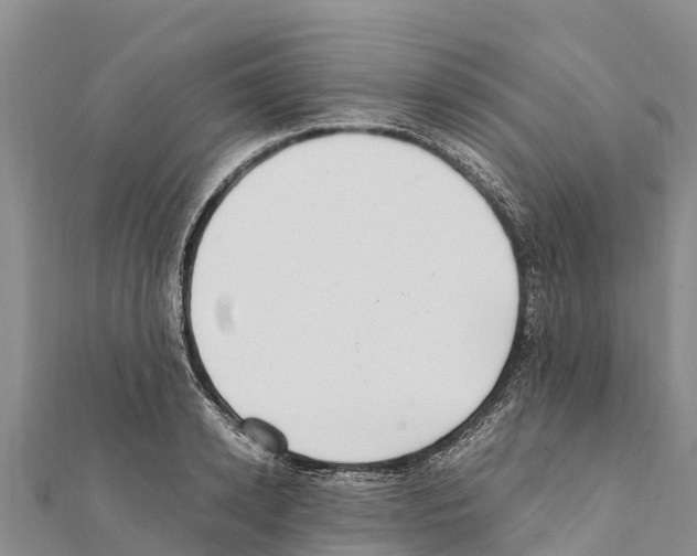 X0000111390942200908211358