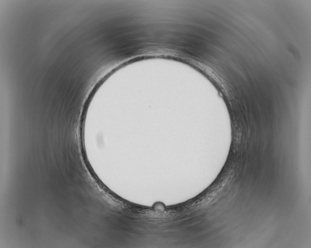 X0000111390943200908211358