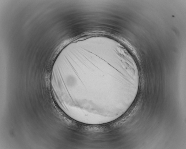 X0000111390945200908211359