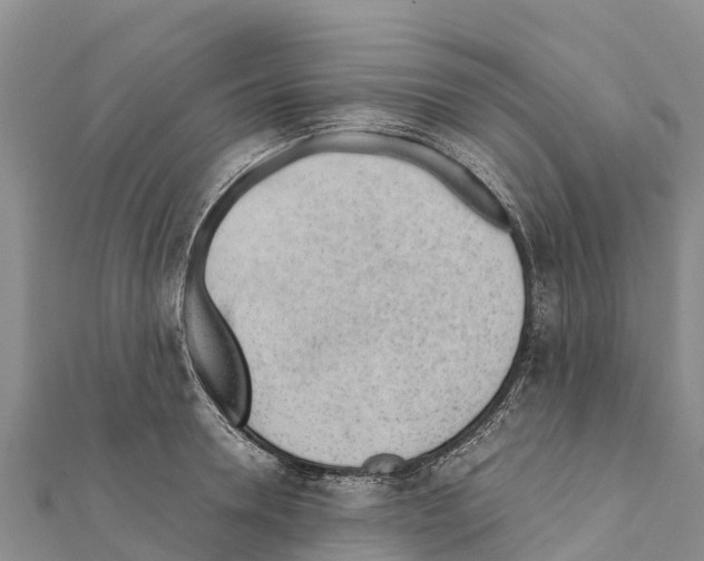 X0000111390946200908211359