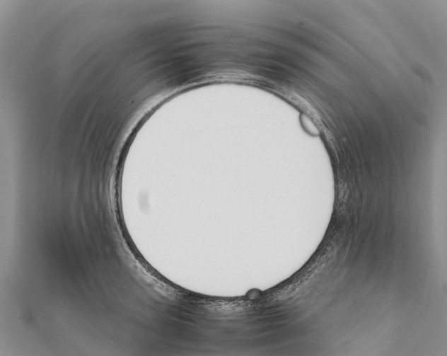 X0000111390947200908211359