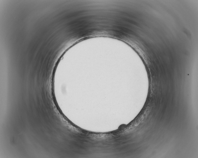 X0000111390949200908211359
