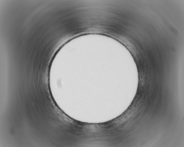 X0000111390950200908211359