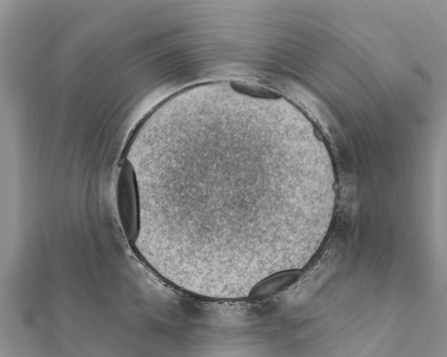 X0000111390952200908211359