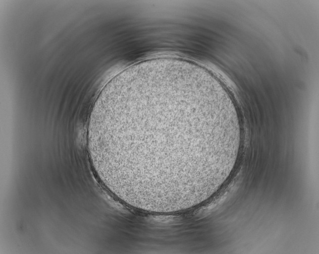 X0000111390953200908211359