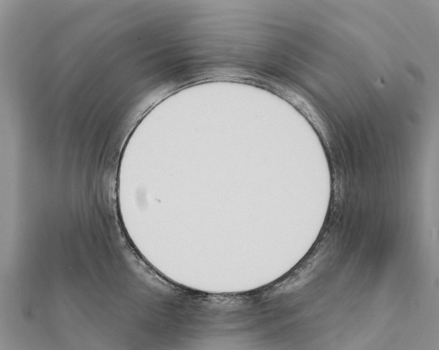 X0000111390954200908211359