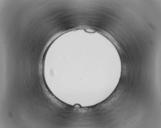 X0000111390955200908211359