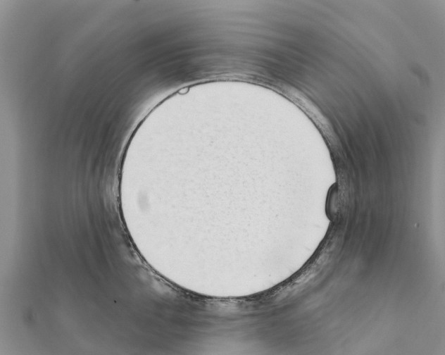 X0000111390956200908211359