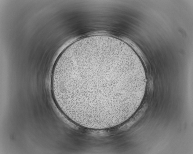 X0000111390957200908211359