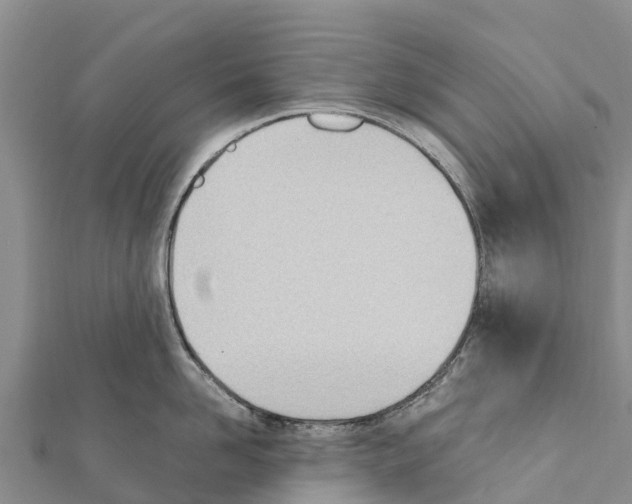 X0000111390958200908211359