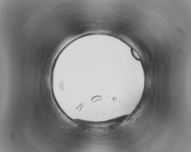 X0000111390959200908211359