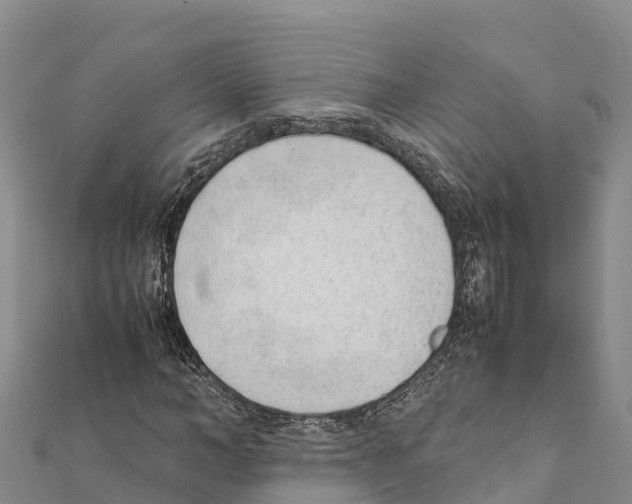 X0000111390966200908211358