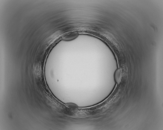X0000111390969200908211358