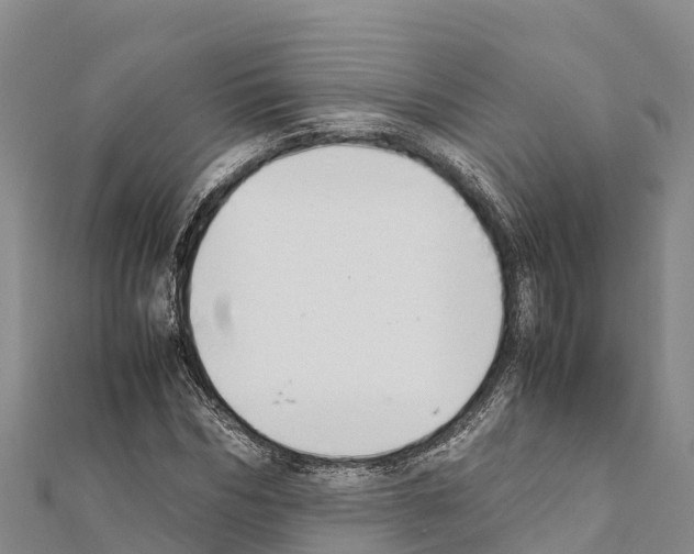 X0000111390970200908211358