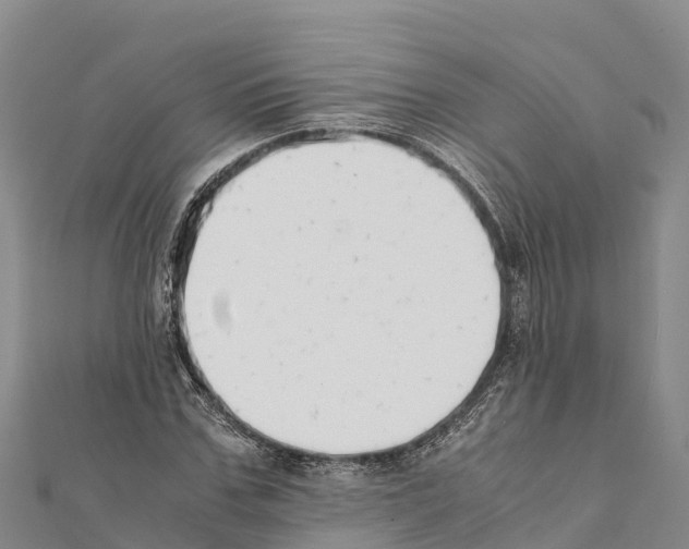 X0000111390971200908211358